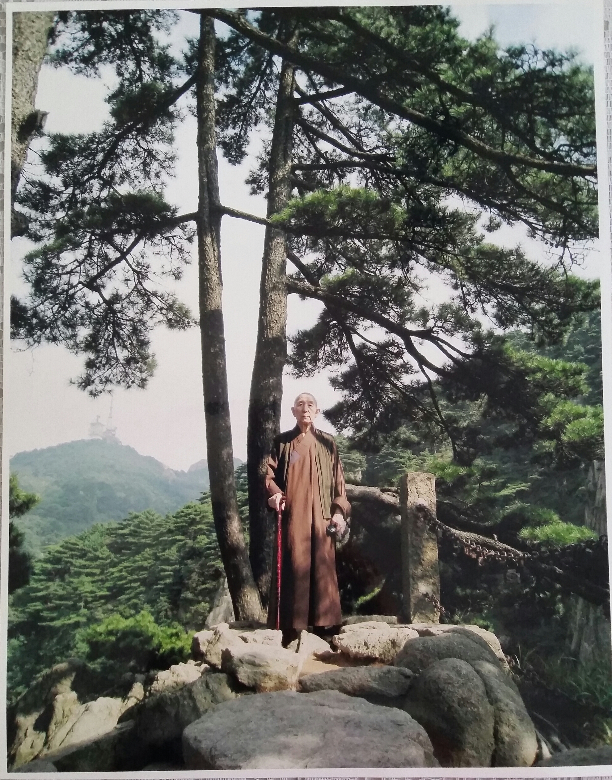 宗才長老立於黃山松下的岩石上，手持拐杖